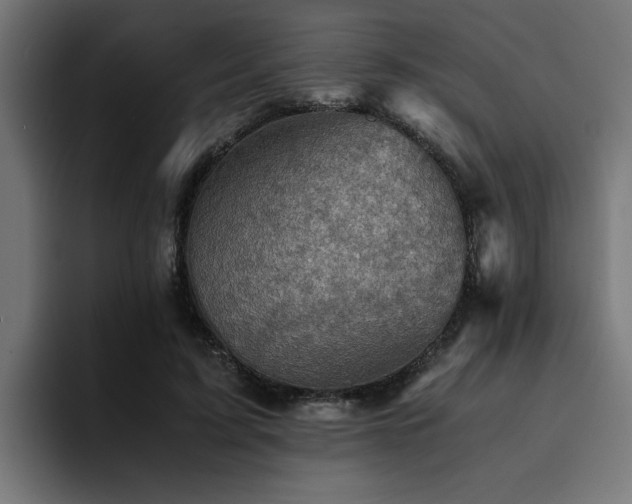 X0000094450595200711081306