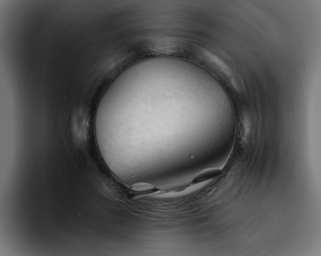X0000094450596200711081306