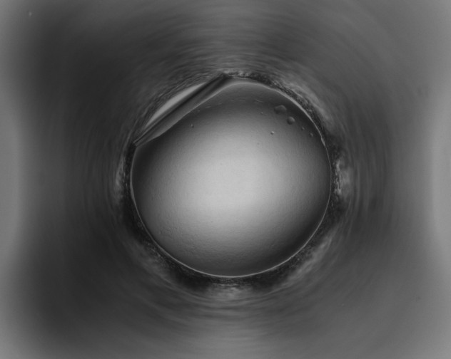 X0000094450597200711081306