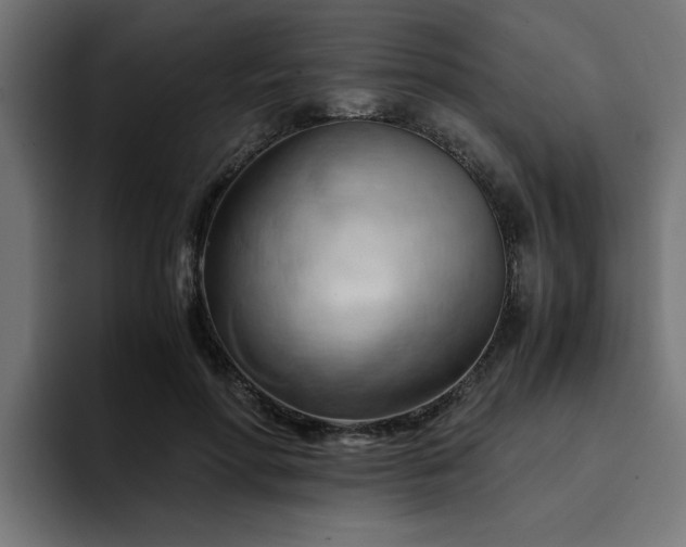 X0000094450598200711081306