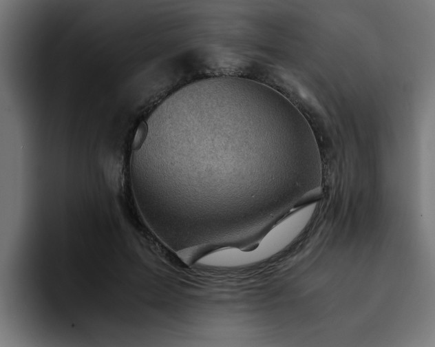 X0000094450599200711081306