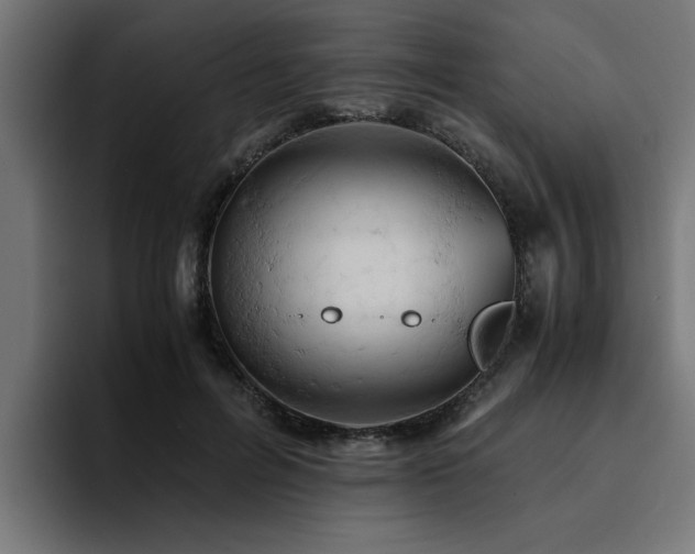 X0000094450600200711081306