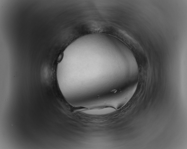 X0000094450601200711081306