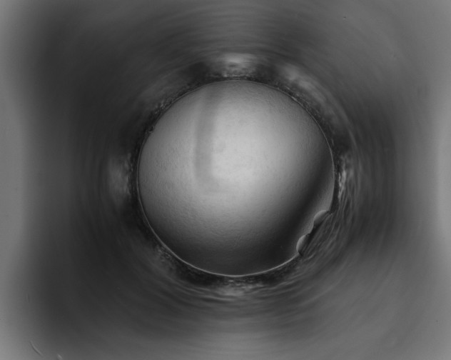 X0000094450604200711081306