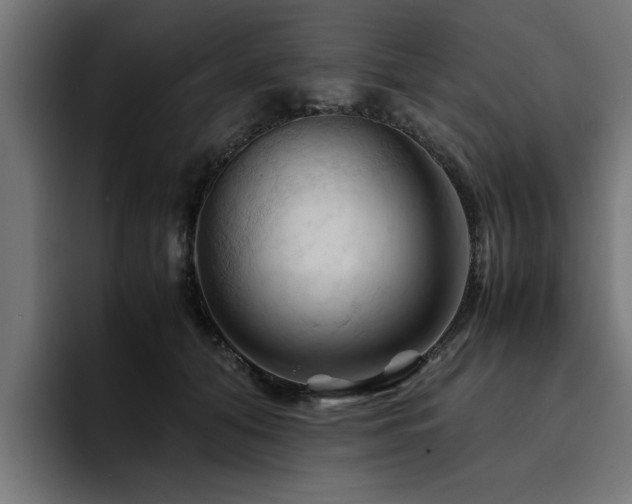 X0000094450608200711081306