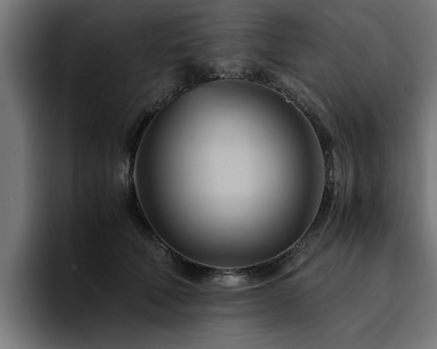 X0000094450610200711081306