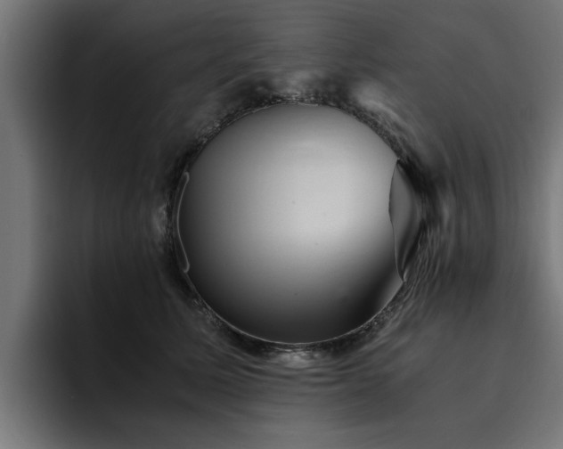 X0000094450611200711081306