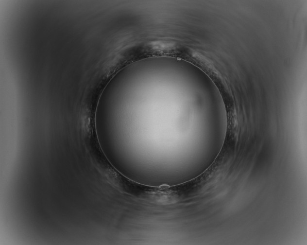 X0000094450615200711081306