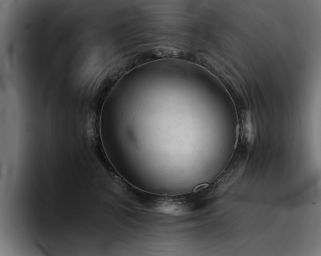 X0000094450616200711081306