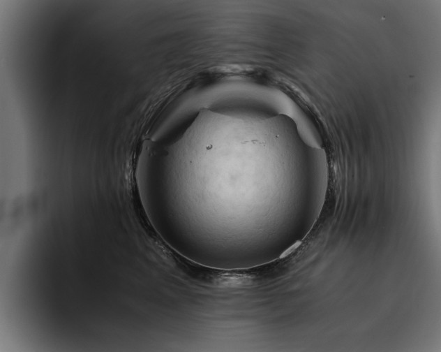 X0000094450617200711081306