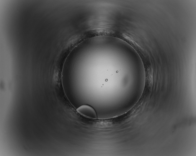 X0000094450619200711081306