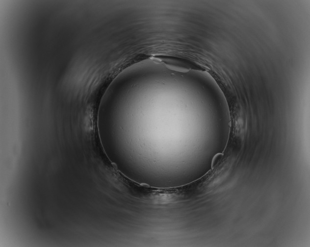 X0000094450620200711081306