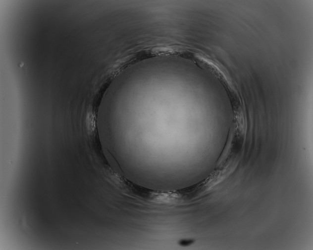 X0000094450621200711081306