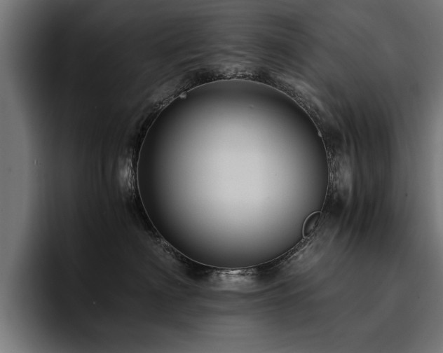 X0000094450622200711081306