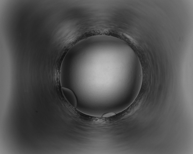 X0000094450624200711081306