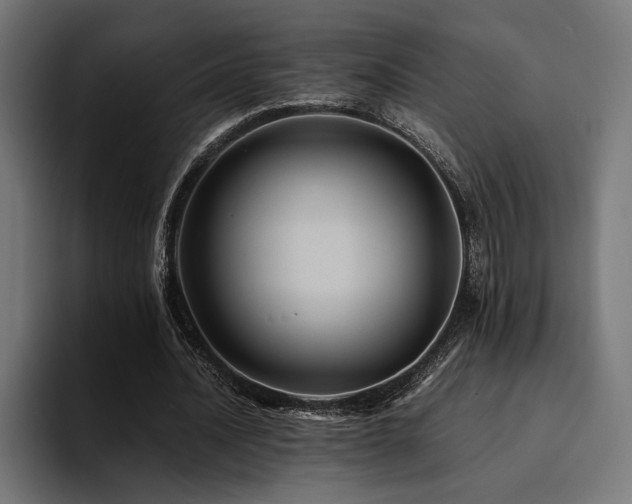 X0000094450628200711081305