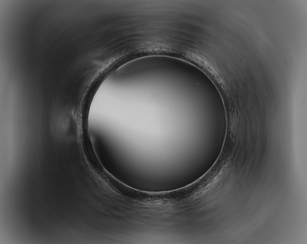X0000094450629200711081305