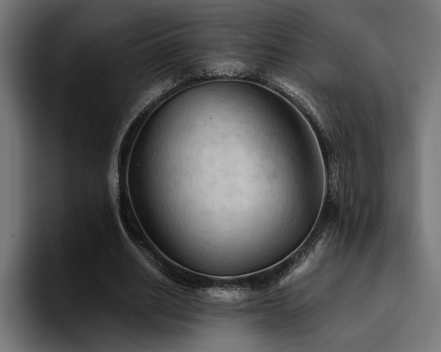 X0000094450630200711081305