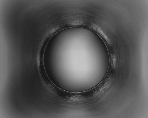X0000094450631200711081305