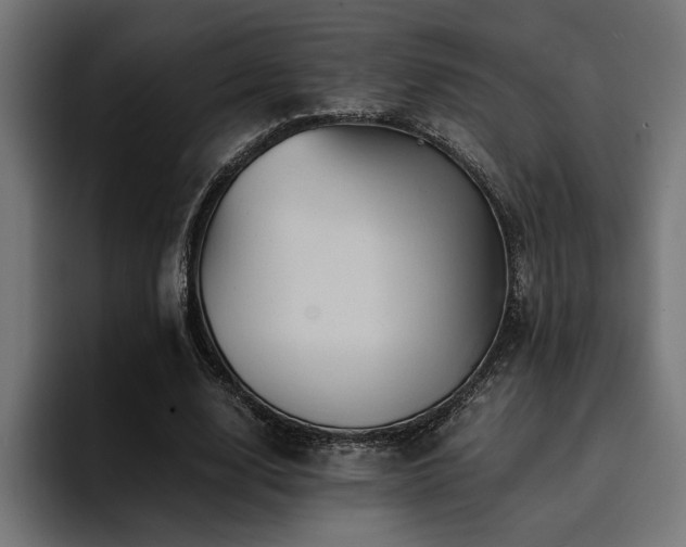 X0000094450632200711081305