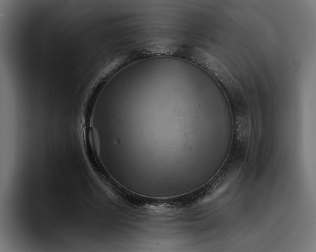 X0000094450634200711081305