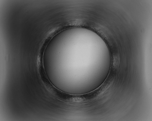X0000094450636200711081305