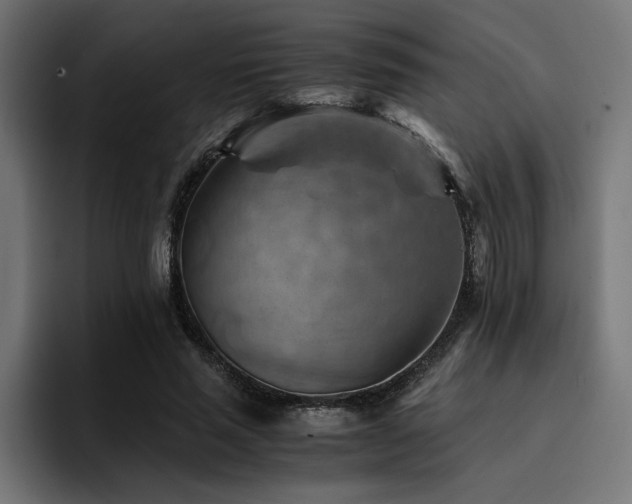 X0000094450637200711081305
