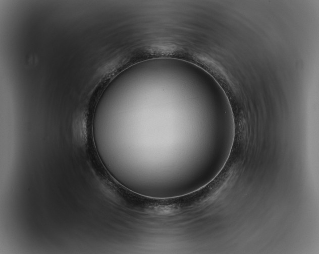 X0000094450638200711081305