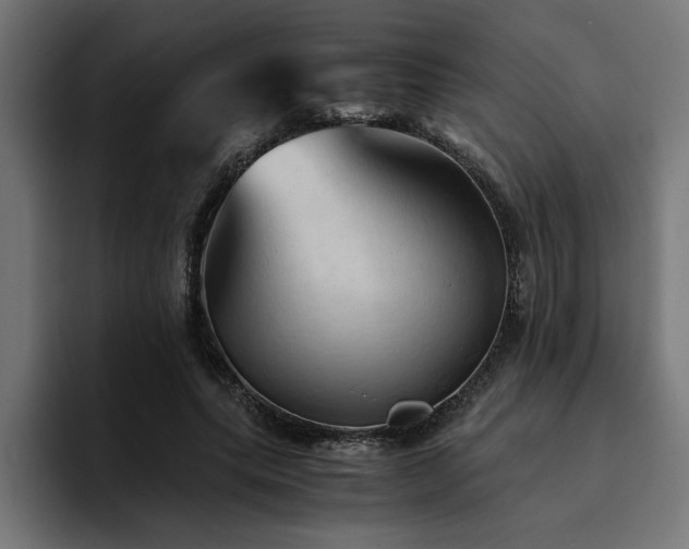X0000094450639200711081305