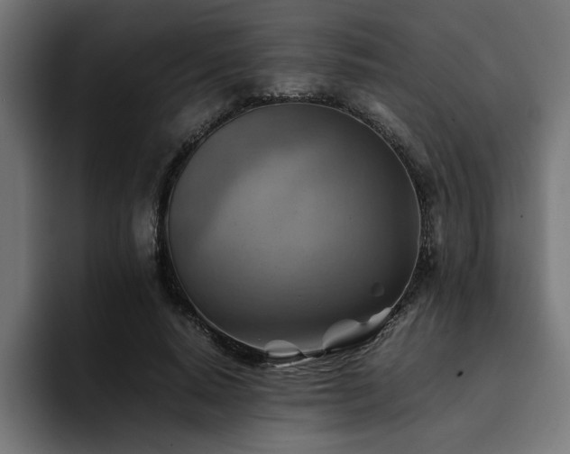 X0000094450640200711081305