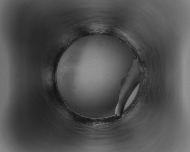 X0000094450641200711081305