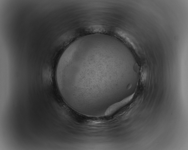 X0000094450643200711081305