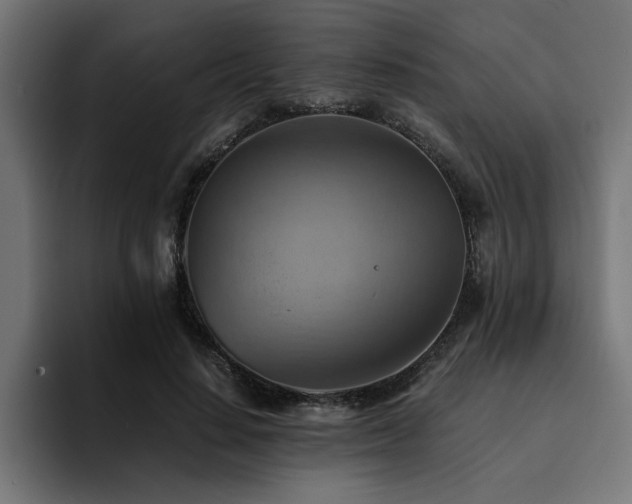 X0000094450644200711081305