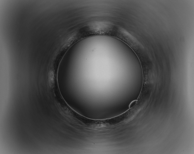 X0000094450646200711081305