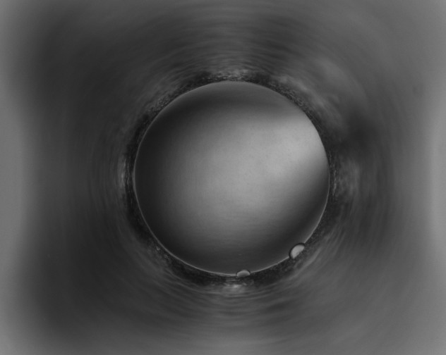 X0000094450647200711081305