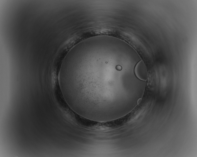 X0000094450648200711081305