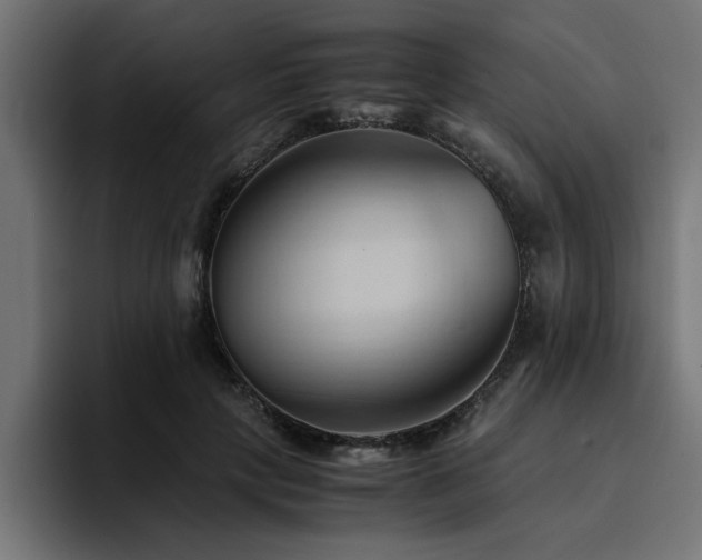 X0000094450649200711081305