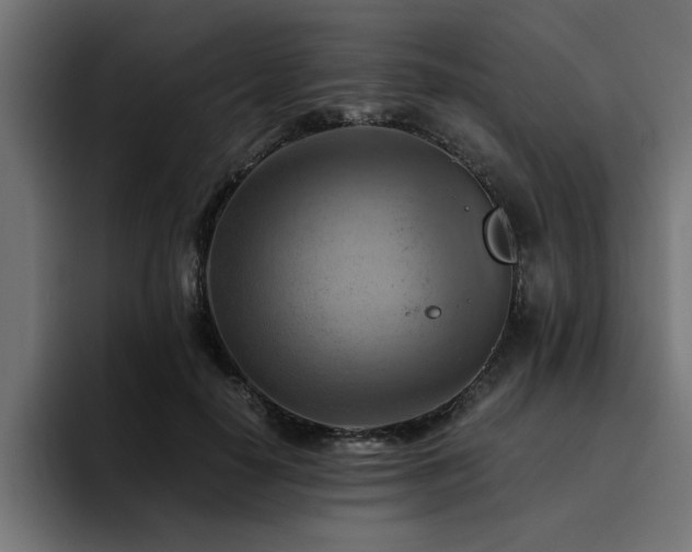 X0000094450650200711081305