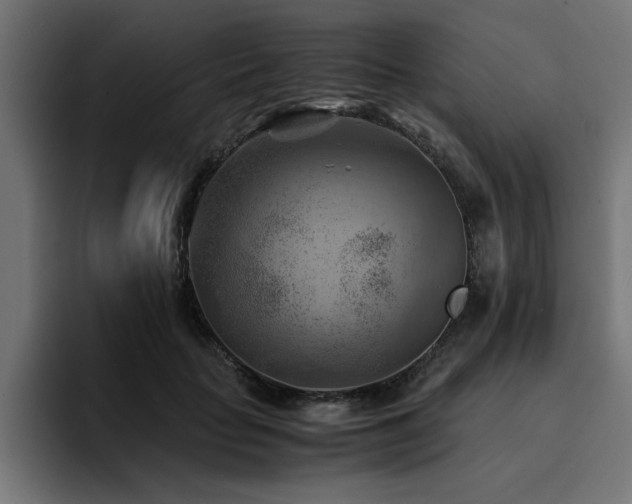 X0000094450653200711081305