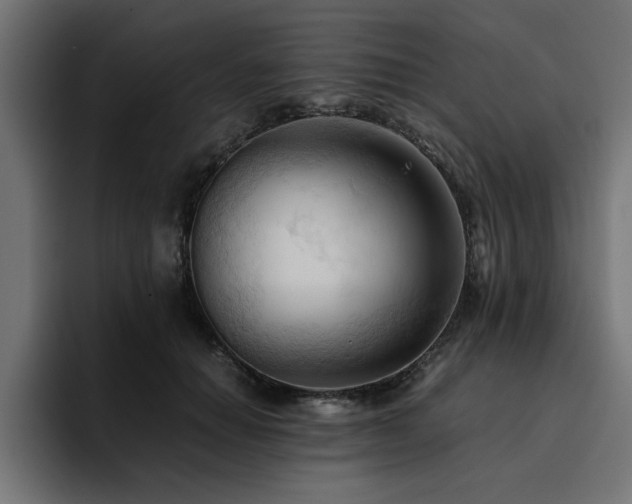 X0000094450654200711081305