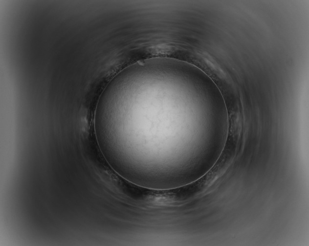 X0000094450655200711081305