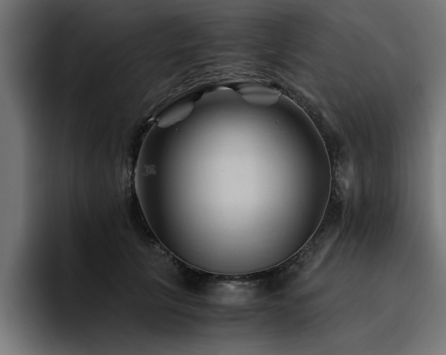 X0000094450657200711081305