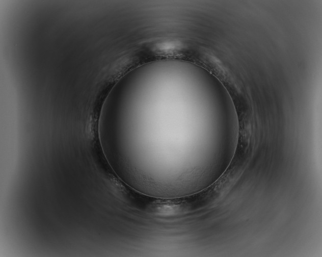 X0000094450658200711081306