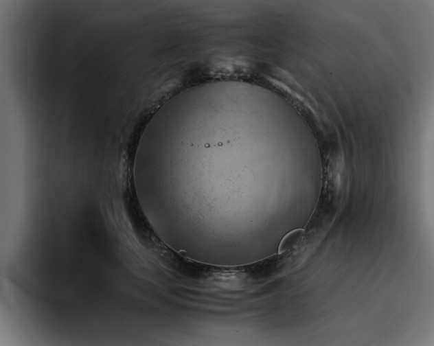 X0000094450659200711081306