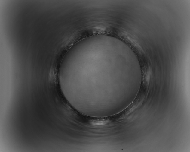 X0000094450661200711081306