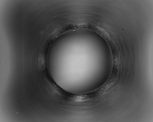X0000094450662200711081306