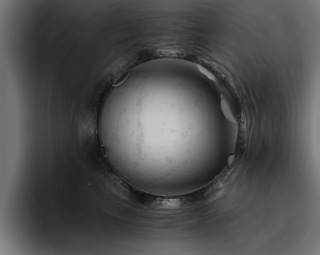 X0000094450665200711081306
