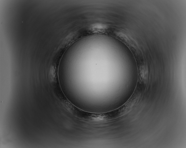 X0000094450667200711081306