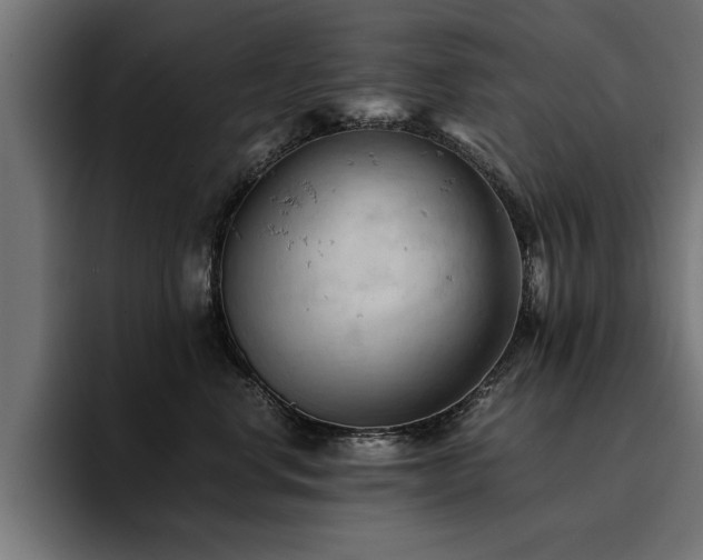 X0000094450668200711081306