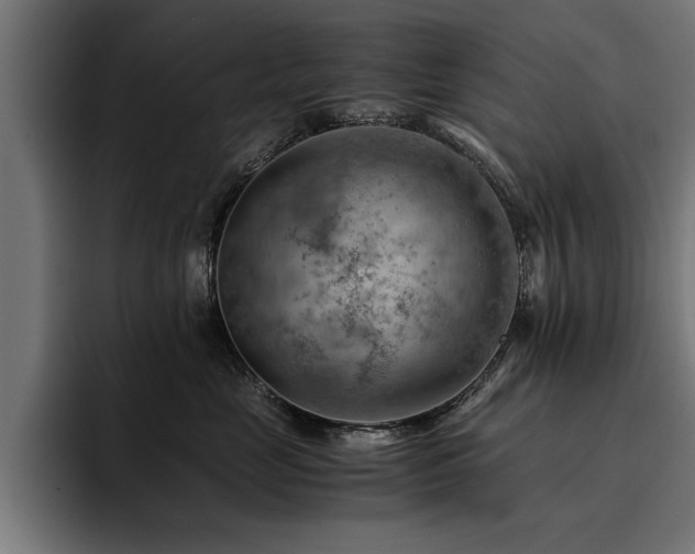 X0000094450669200711081306